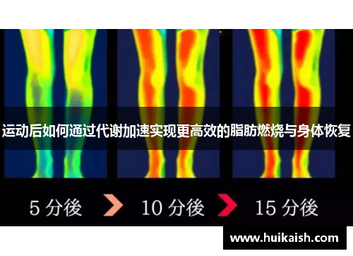 运动后如何通过代谢加速实现更高效的脂肪燃烧与身体恢复